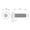 Linsenschraube Metall  Kreuz DIN 9785 [342-m] (342020841553)